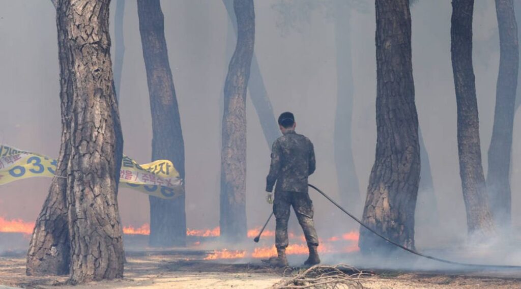 Rescue team in South Korea attempting to extinguish wildfire.