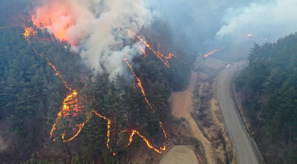 Ariel View of Widespread Wildfire in South Korea, Seoul.