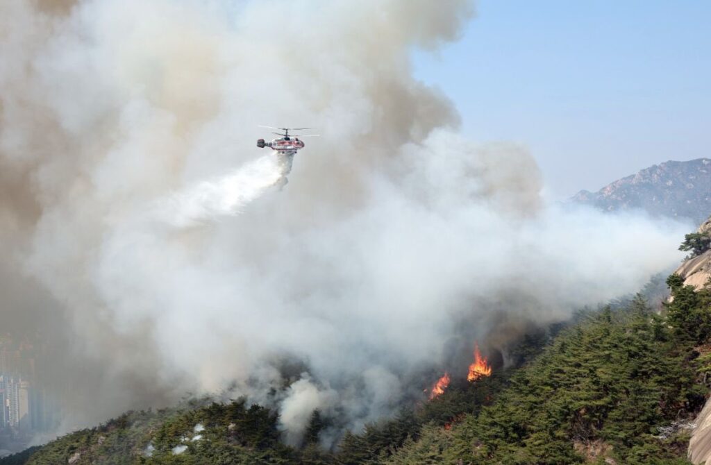 Rescue team in South Korea attempting to extinguish wildfire with helicopter.